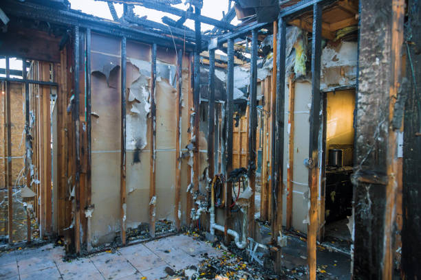Professional Smoke Damage Removal technician working in Arlington, TX