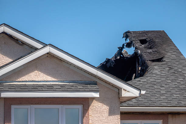 Top rated local Smoke Damage Removal specialists in Arlington, TX